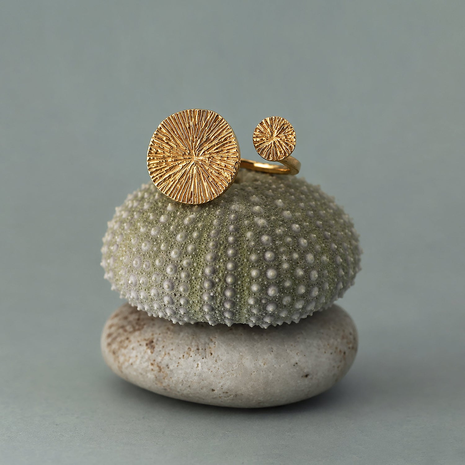 Anillos