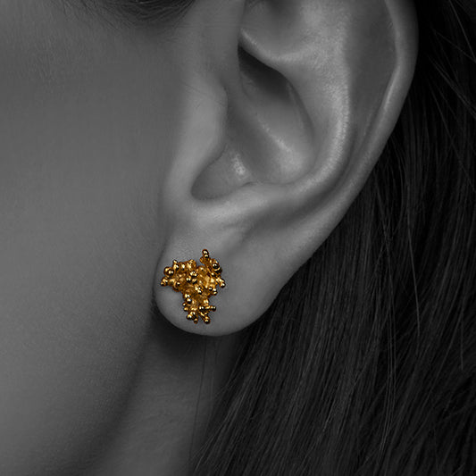 CORAL BROQUEL
