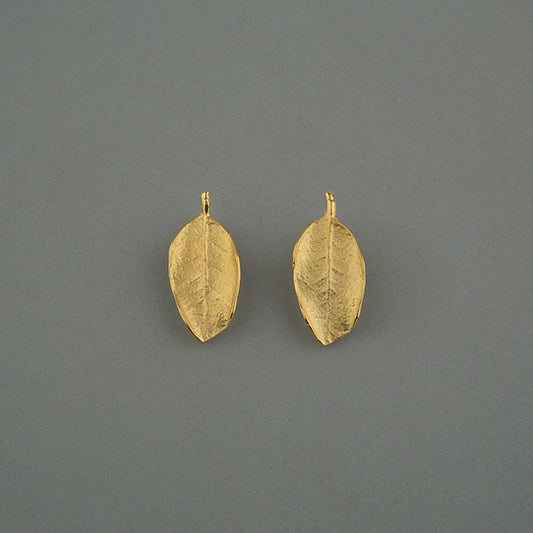 CALATHEA BROQUEL