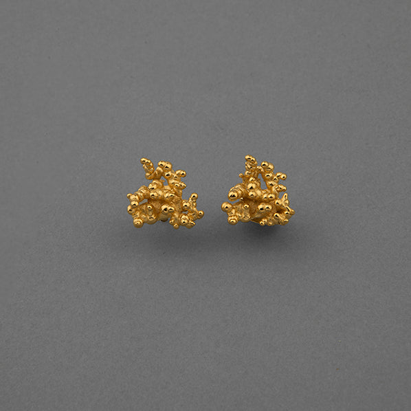 CORAL BROQUEL